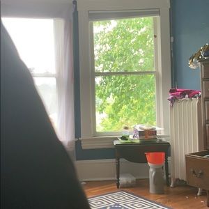 Meet your Posher, Papa